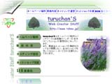 turuchanr@mxX
