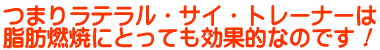 ���e�����E�T�C�E�g���[�i�[�͎��b�R�ĂɂƂ��Ă����ʓI�ł�